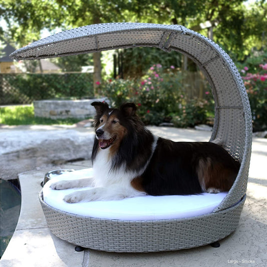 Outdoor Dog Chaise Bed W/Shade Hood, Waterproof Poly Rattan Lounger with Washable Cushion, Smoke, Chaise-Sk-Amz