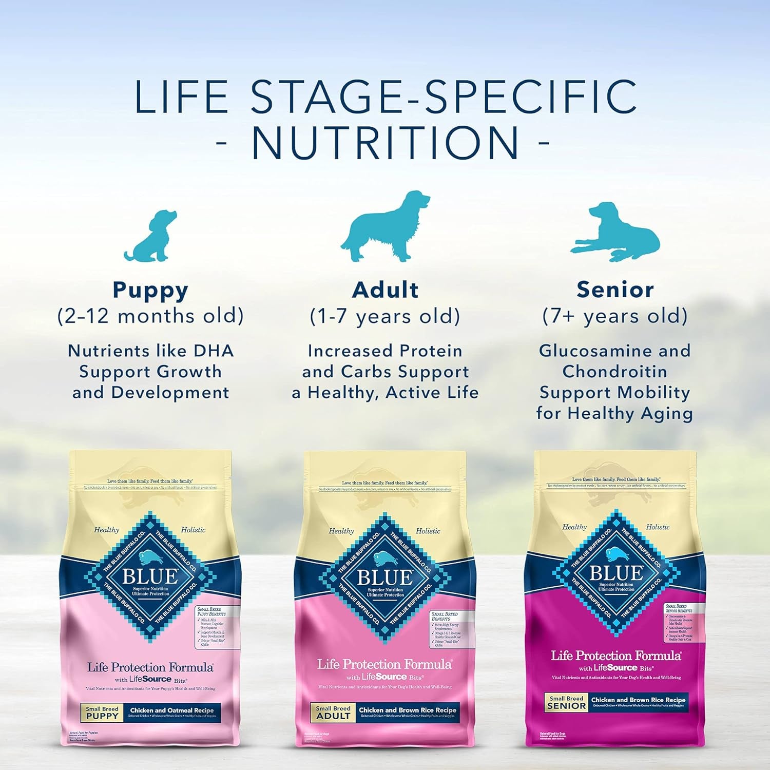 Life Protection Formula Natural Adult Small Breed Dry Dog Food, Chicken and Brown Rice 6-Lb