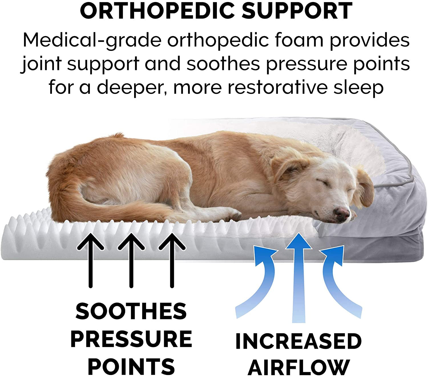 Orthopedic, Cooling Gel, and Memory Foam Pet Beds for Small, Medium, and Large Dogs and Cats - Luxe Perfect Comfort Sofa Dog Bed, Performance Linen Sofa Dog Bed, and More